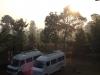 Foggy Morning at Coorg
